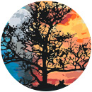 Natura